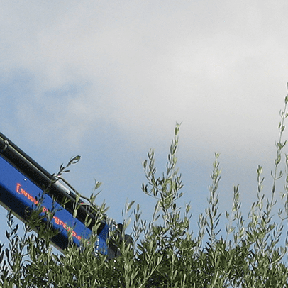 04B_Header Gru Piccole